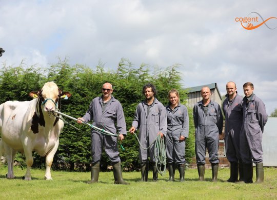İthal Holstein Sperması