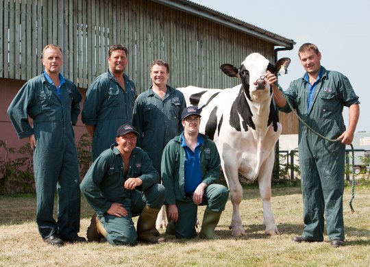 İthal Holstein Sperması